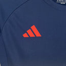 Camisa Flamengo Treino Feminina - 25/26