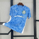 Camisa Palmeiras Goleiro - 25/26