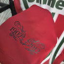 Camisa Fluminense Retrô 1 - 2012